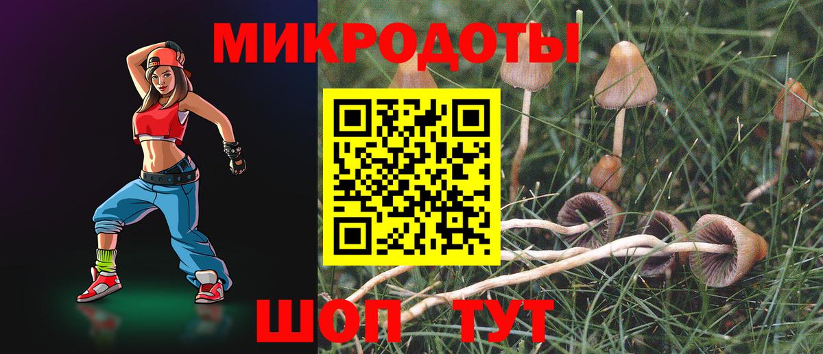 Псилоцибиновые грибы мицелий Урюпинск